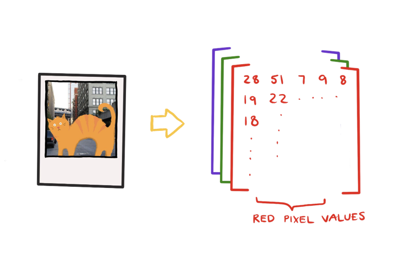 CNN Image Classification